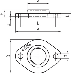 Picture of +GF+ 326 Gewindeflansch, gebohrt, 2 Loch, Dimension ″: 1/2", Art.Nr.: 770326104